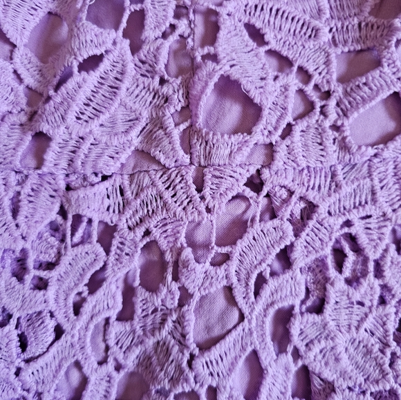 ASTR The Label Lilac Lace Crochet Midi Dress A-Line Sleeveless V-Neck Size Large - Picture 10 of 13